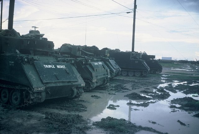 Tracks in the mud